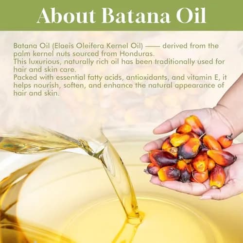 Dolahair Batana Oil for Hair, Scalp & Skin 60 mL (2.03 Fl Oz) | Natural Elaeis Oleifera Kernel Oil for Dry Hair thumbnail 4