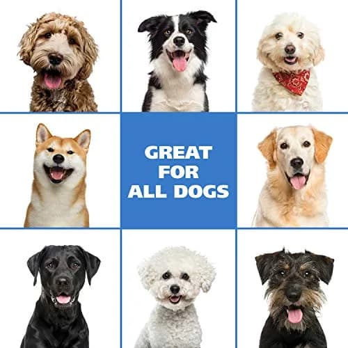 Wahl Waterless Oatmeal & Coconut Lime Verbena Pet Shampoo 420ml (14.2 Fl Oz) | No-Rinse Formula for Dogs, Cats & Horses thumbnail 7