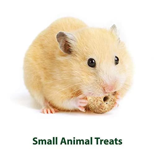 Kaytee Timothy Biscuits Baked Treat for Small Animals Carrot 227 g (8 oz) | Supports Dental Health thumbnail 4