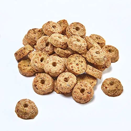 Kaytee Timothy Biscuits Baked Treat for Small Animals Carrot 227 g (8 oz) | Supports Dental Health thumbnail 3