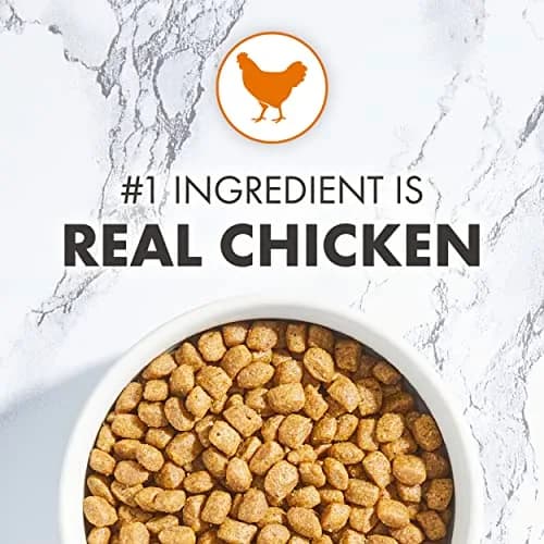 Nutro Wholesome Essentials Kitten Natural Dry Cat Food for Early Development Farm-Raised Chicken & Brown Rice Recipe, 3 lb. Bag (Pack of 2) | Supports Growth & Immunity thumbnail 3