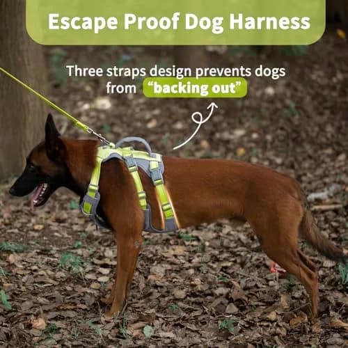 Huntboo Escape Proof Dog Harness with Lift Handle, Bright Green L | Breathable, Reflective, Adjustable Vest for Large Dogs thumbnail 2