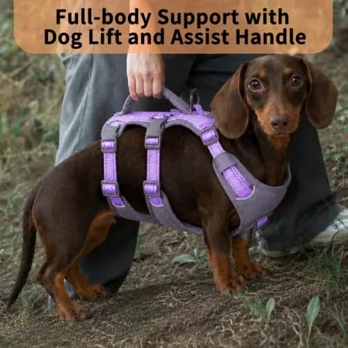 Huntboo Escape Proof Dog Harness with Handle, Lavender Purple, Size S | No-Pull, Breathable, Reflective, Adjustable Lift Harness for Small, Medium, Large Dogs thumbnail 4