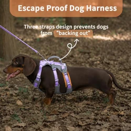 Huntboo Escape Proof Dog Harness with Handle, Lavender Purple, Size S | No-Pull, Breathable, Reflective, Adjustable Lift Harness for Small, Medium, Large Dogs thumbnail 2