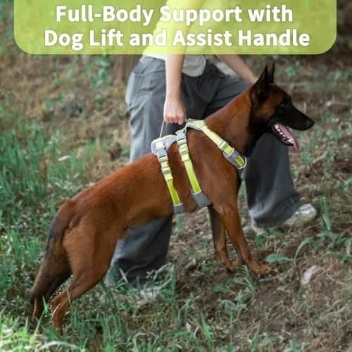 Huntboo Escape Proof Dog Harness with Handle, Bright Green M | No-Pull, Breathable, Reflective, Adjustable Lift Harness for Dogs thumbnail 4