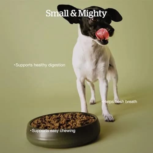 Now Fresh Good Gravy Small Breed Adult Dry Dog Food, Chicken, 3.5 lb | Supports digestion & weight control thumbnail 3