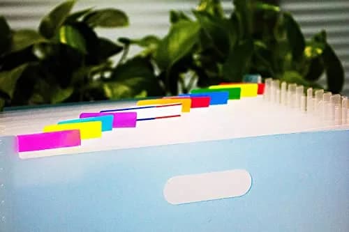 ELII 900 Pcs 2 Inch Sticky Index Tabs & 100 Pcs 0.5 Inch Tabs | Writable, Repositionable, 10 Neon Colors thumbnail 8