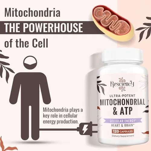 Resciency 2326 MG mitochondrial supplement 120 capsules | Organic energy & endurance support thumbnail 5