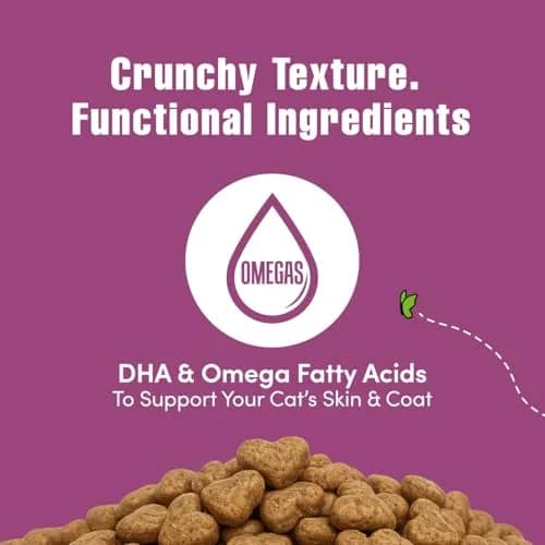 Get Naked Biteables Daily Crunchy Cat Treats for Digestive Health, Chicken Flavor, 170g (6oz) | Grain-Free Probiotic Cat Snacks thumbnail 4