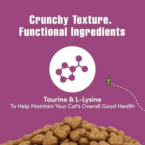 Get Naked Biteables Daily Crunchy Cat Treats for Digestive Health, Chicken Flavor, 170g (6oz) | Grain-Free Probiotic Cat Snacks thumbnail 2