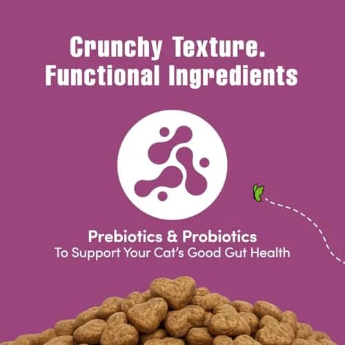 Get Naked Biteables Daily Crunchy Cat Treats for Digestive Health, Chicken Flavor, 170g (6oz) | Grain-Free Probiotic Cat Snacks thumbnail 3