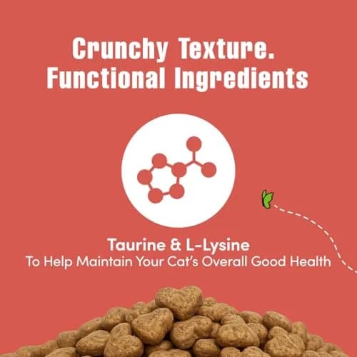 Get Naked Cat Calming Treats Salmon & Cheese Flavor, Crunchy, Calming Health, 6 oz (170 g) Bag | Functional Ingredients for Cat Anxiety Relief thumbnail 3