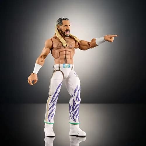 Mattel WWE Elite Action Figure Seth "Freakin" Rollins 6-inch | Collectible with 25 Articulation Points thumbnail 5