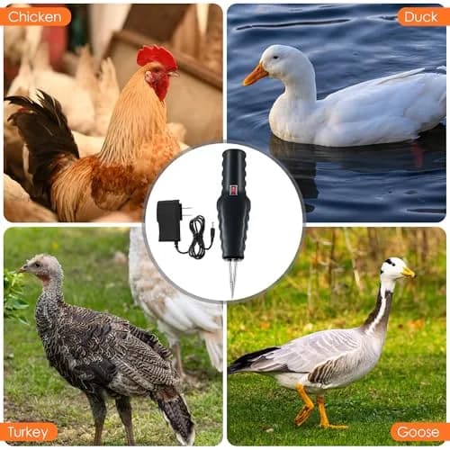 Saillong Handheld Chicken Plucker 1 Pack Black | Removes Pin Feathers Efficiently thumbnail 7