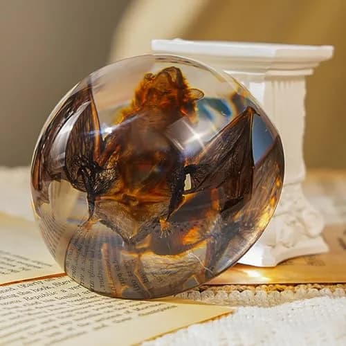 WAVEBEEXS Taxidermy Bat in Resin | Gothic Animal Specimen for Education & Decor thumbnail 1