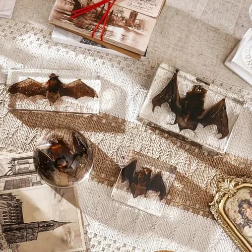 WAVEBEEXS Taxidermy Bat in Resin | Gothic Animal Specimen for Education & Decor thumbnail 7