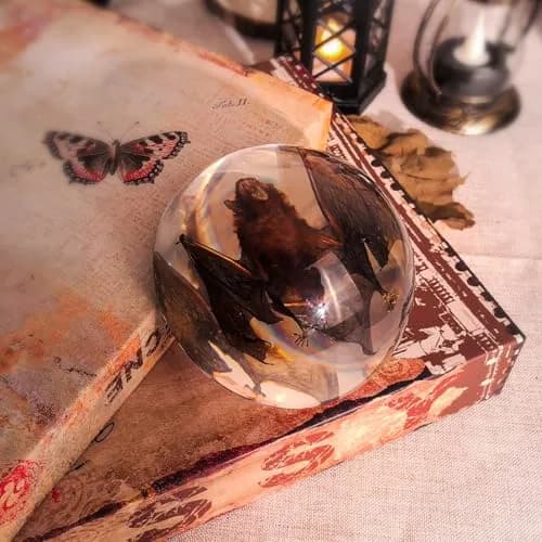WAVEBEEXS Taxidermy Bat in Resin | Gothic Animal Specimen for Education & Decor thumbnail 2