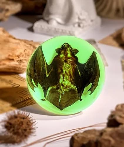 WAVEBEEXS Taxidermy Bat in Resin | Luminous Macabre Decor & Educational Specimen thumbnail 1