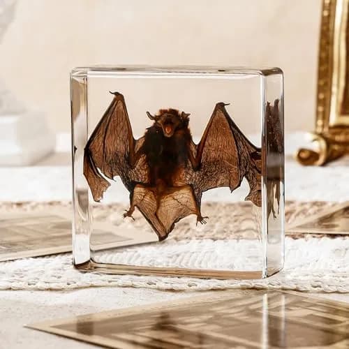 WAVEBEEXS Taxidermy Bat in Resin 3x3x1in | Macabre Animal Specimen for Education & Decor thumbnail 1