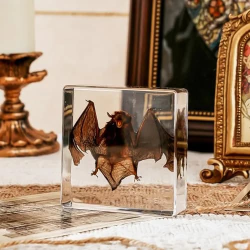 WAVEBEEXS Taxidermy Bat in Resin 3x3x1in | Macabre Animal Specimen for Education & Decor thumbnail 5