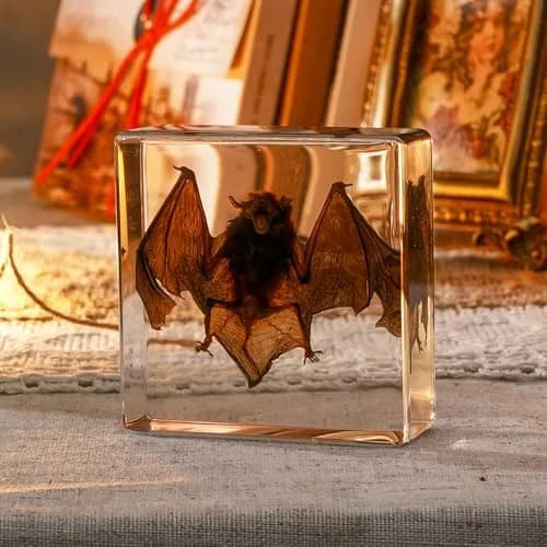 WAVEBEEXS Taxidermy Bat in Resin 3x3x1in | Macabre Animal Specimen for Education & Decor thumbnail 3