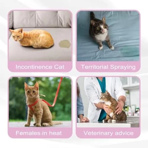 Paw Legend Washable Cat Diapers for Female Cats 3 Pack Small | Prevents Spraying & Incontinence thumbnail 6