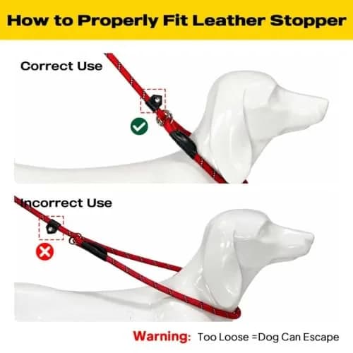 Fida Dog Leash 4 ft x 1/2" | Anti-pull Slip Lead for Large & Medium Dogs thumbnail 9
