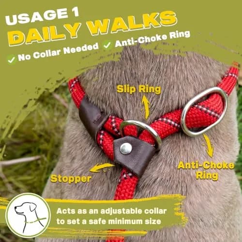 Fida Dog Leash 4 ft x 1/2" | Anti-pull Slip Lead for Large & Medium Dogs thumbnail 4