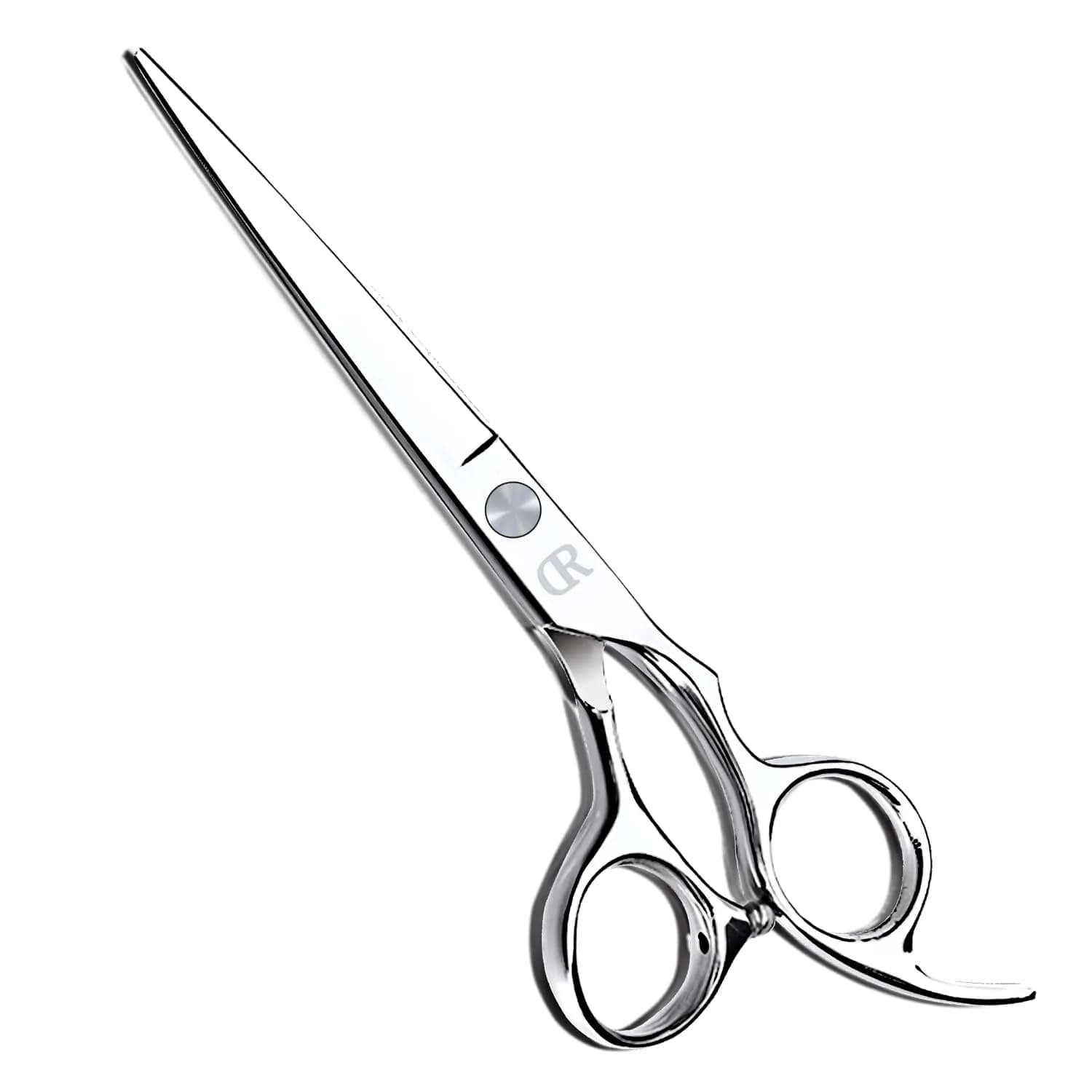 JAVENPROLIU Professional Hair Cutting Shears 6 Inch Barber Hair Scissors | Sharp Blades for Women, Men, Kids — Silver