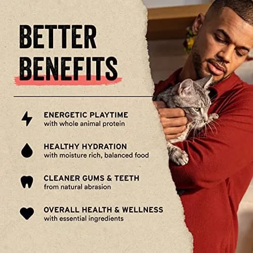 Vital Essentials Freeze Dried Minnows Cat Treats 1 oz (3 oz Total) | Single Ingredient Protein Boost thumbnail 5