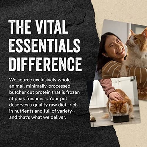 Vital Essentials Freeze-Dried Raw Chicken Hearts Cat Treats 2.4 oz (70g) | Single Ingredient Protein Boost thumbnail 6