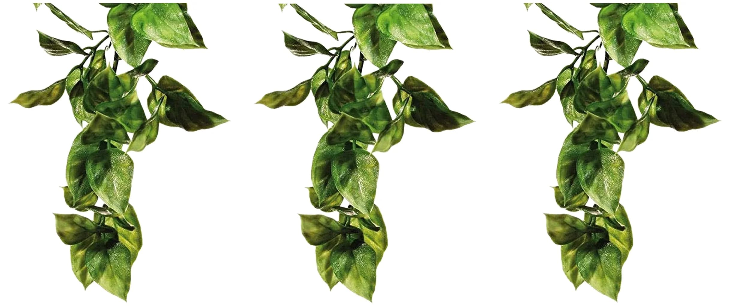 Exo Terra Plastic Terrarium Plant, Large, Amapallo (Pack of 3) | Realistic Reptile Habitat Decor - main product image