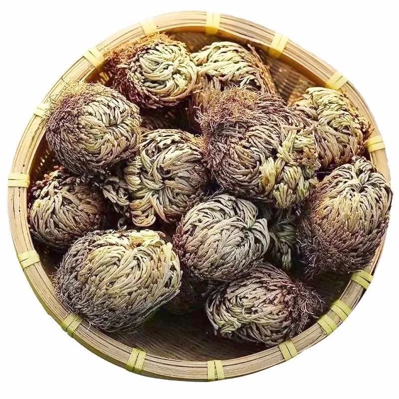 EquSym Rose of Jericho Dried Plants 17 Pack (0.2 lb / 0.09 kg) | Spiritual Purification & Home Decor thumbnail 2
