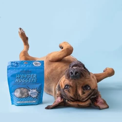 Polkadog Whitefish & Kelp Wonder Nuggets | Soft & Chewy Dog Treats, 10oz thumbnail 5