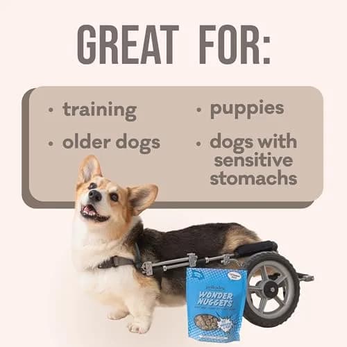 Polkadog Whitefish & Kelp Wonder Nuggets | Soft & Chewy Dog Treats, 10oz thumbnail 6