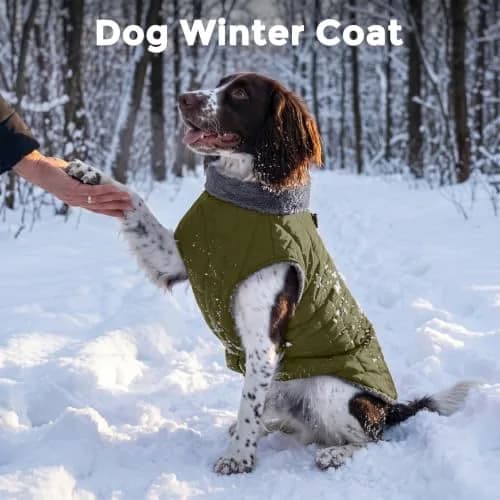 JoyDaog Fleece Dog Jacket with Harness for Small Dogs, Green M 16"-18" Chest | Warm, Waterproof, Windproof thumbnail 2