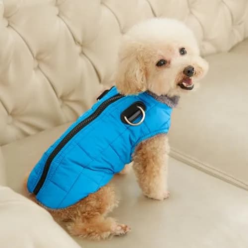 JoyDaog Blue Fleece Dog Jacket with Harness for Small Dogs, Size S (12.5"-15.9" Chest) | Winter Warmth & Windproof Protection thumbnail 8