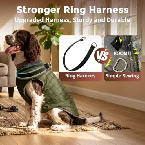 JoyDaog Fleece Dog Jacket with Harness for Small Dogs & Puppies, Green S | Warm, Waterproof, Windproof thumbnail 3