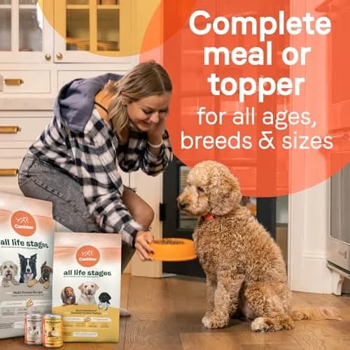 CANIDAE All Life Stages Wet Dog Food, Multi-Protein, 13 oz, 6 Pack | Complete Nutrition for All Breeds & Sizes thumbnail 5