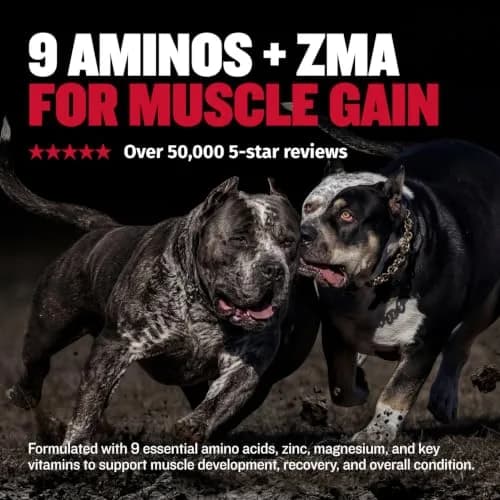 Bully Max 2-in-1 Muscle Builder Chewable Tablets for Dogs - 60 Tabs (3 Bottles) | Vet-Recommended Canine Multivitamin for Muscle Gain & Growth thumbnail 5