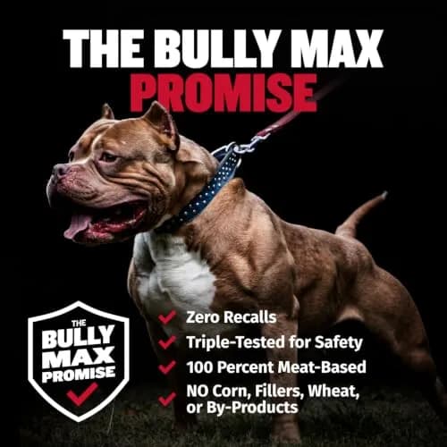 Bully Max 2-in-1 Muscle Builder Chewable Tablets for Dogs - 60 Tabs (3 Bottles) | Vet-Recommended Canine Multivitamin for Muscle Gain & Growth thumbnail 7