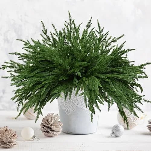 Palonu 12 PCS Artificial Norfolk Pine Branch 45cm (18 Inches) | Realistic Faux Greenery for Christmas Decor thumbnail 4