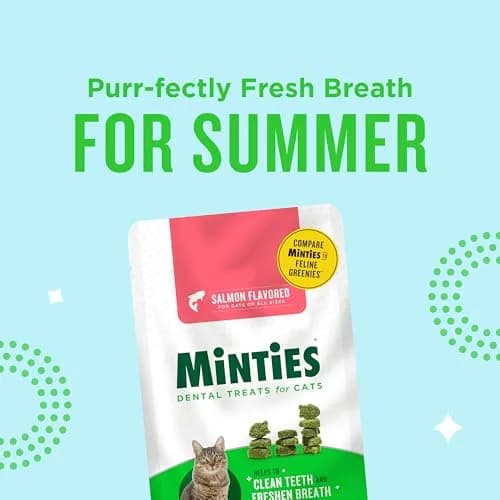 Minties Dental Treats for Cats, Salmon Flavored Cat Dental Treats, Freshens Breath and Controls Tartar, 283g (10 oz) thumbnail 3