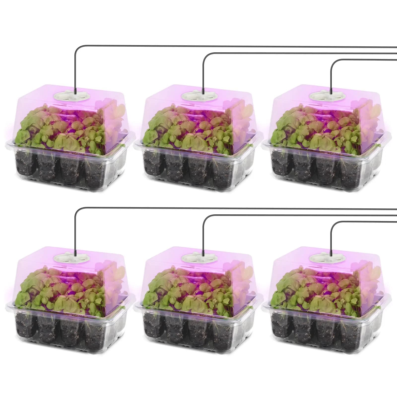 MIXC Seed Starter Kit with Grow Light & Humidity Dome | Indoor Plant Germination Set - main product image
