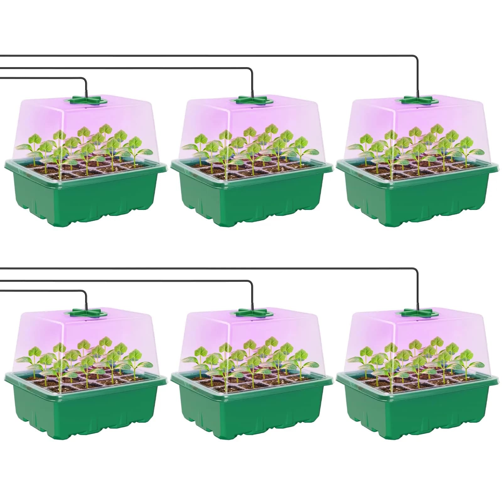 MIXC Green 6 Pack Seed Starter Kit with Grow Light & Humidity Dome | Indoor & Outdoor Plant Germination - main product image