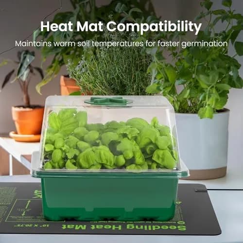 MIXC Green 6 Pack Seed Starter Kit with Grow Light & Humidity Dome | Indoor & Outdoor Plant Germination thumbnail 9