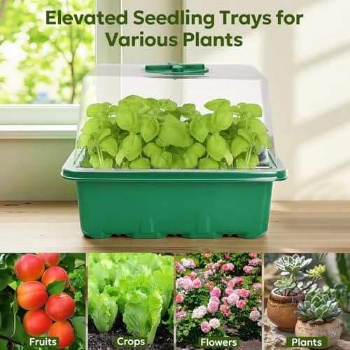 MIXC Green 6 Pack Seed Starter Kit with Grow Light & Humidity Dome | Indoor & Outdoor Plant Germination thumbnail 10