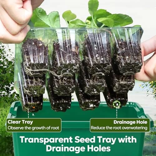 MIXC Green 6 Pack Seed Starter Kit with Grow Light & Humidity Dome | Indoor & Outdoor Plant Germination thumbnail 3