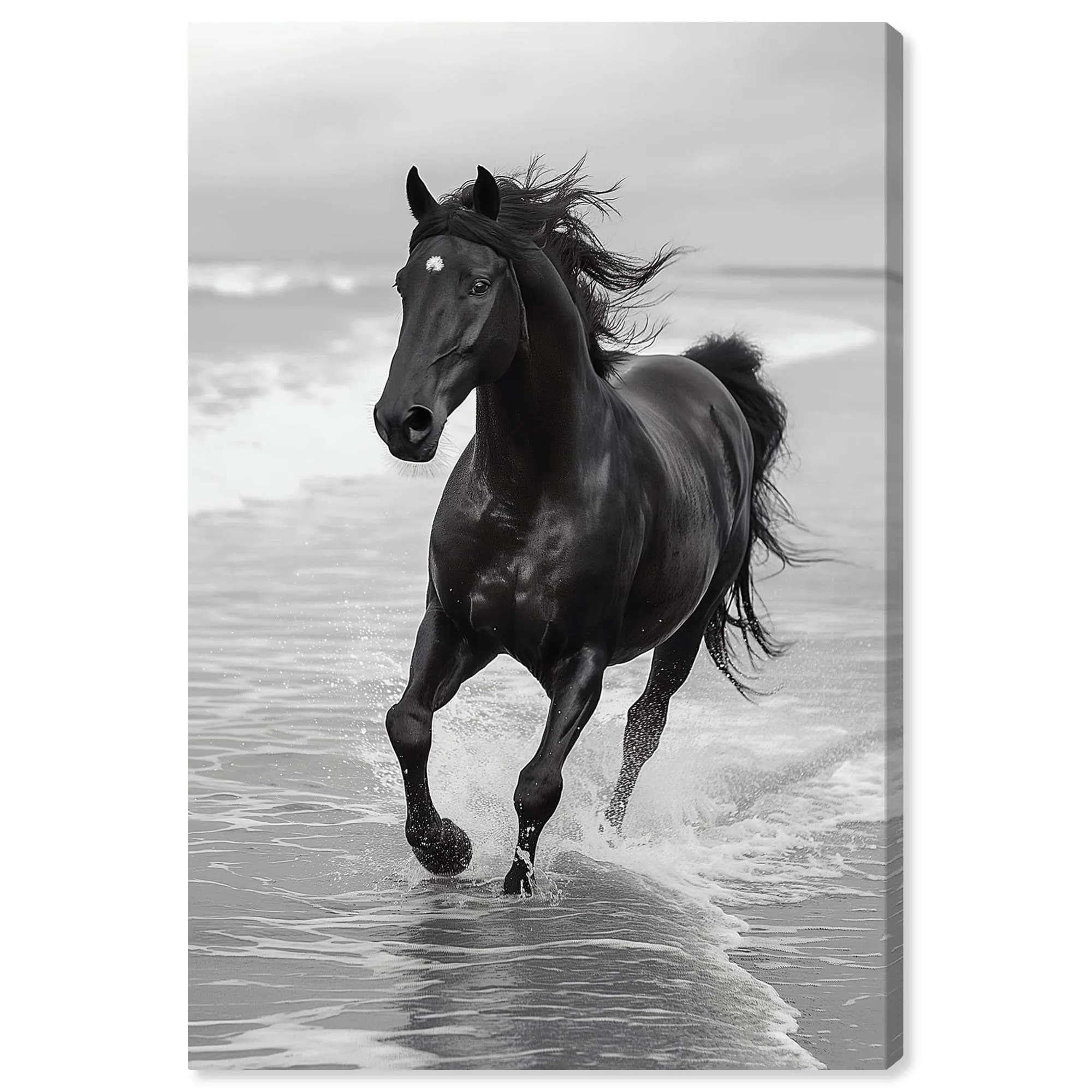 NotoriArt Graceful Horse Canvas Wall Art 16" x 24" | Modern & Contemporary