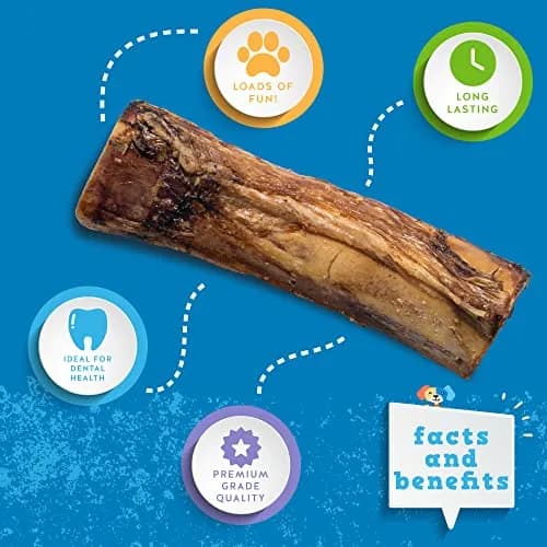 Jack&Pup Marrow Bones for Dogs, 6" Natural Beef Bone | Long Lasting Chew for Large Dogs thumbnail 4
